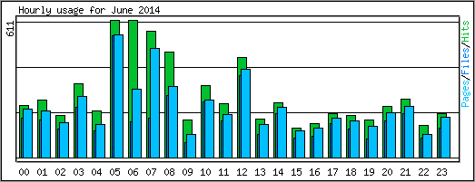 Hourly usage