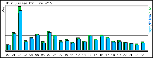 Hourly usage
