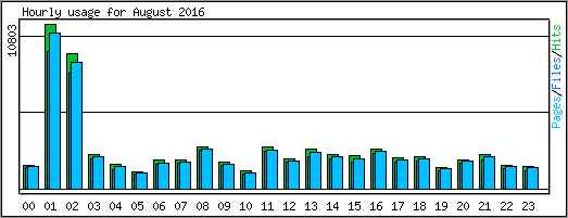 Hourly usage