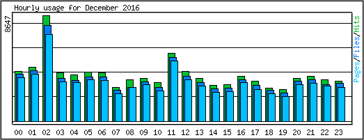 Hourly usage