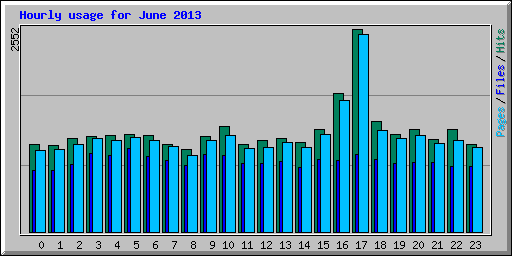 Hourly usage for June 2013