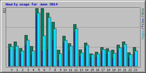 Hourly usage for June 2014
