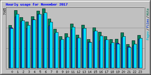 Hourly usage for November 2017
