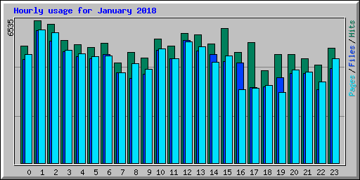 Hourly usage for January 2018